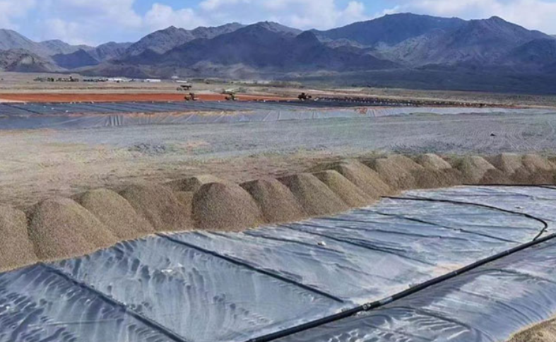 Extracting precious metals from tailings